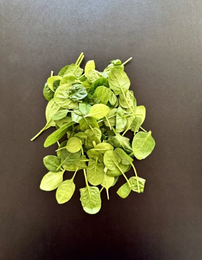 Powerkick - vegan - Brote aus Gutem Stoff