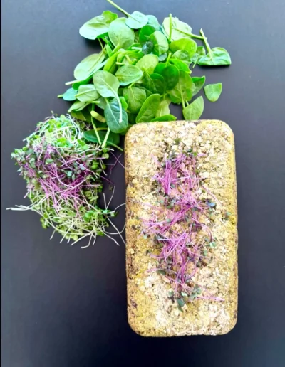 Powerkick - vegan - Brote aus Gutem Stoff