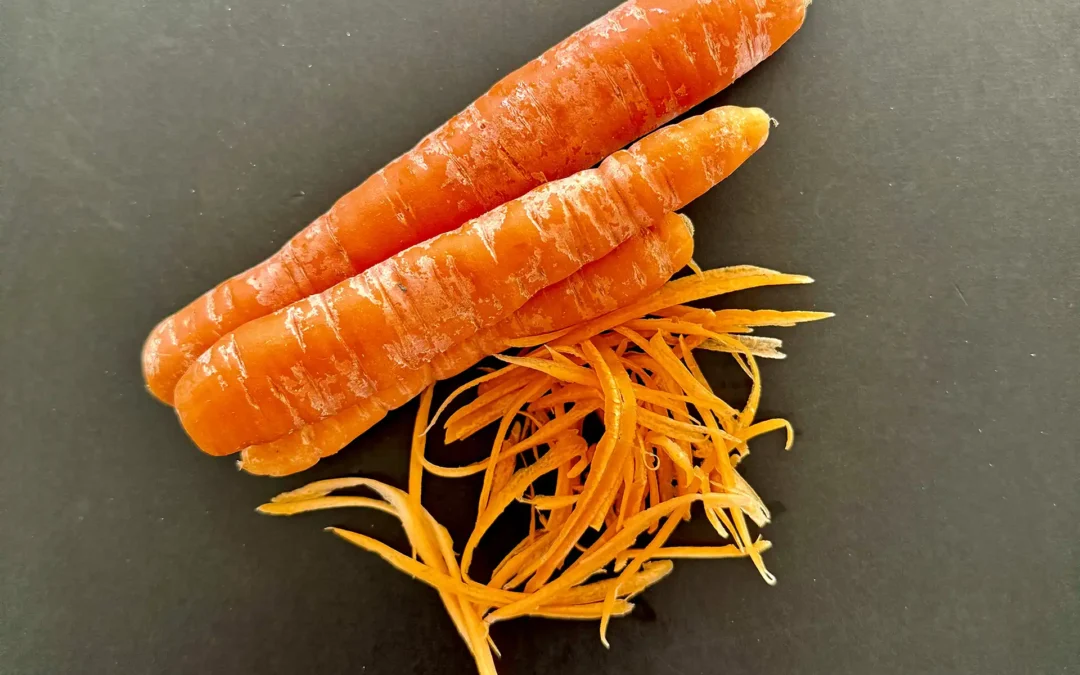 Sanddorn-Karotte - vegan - Brote aus Gutem Stoff