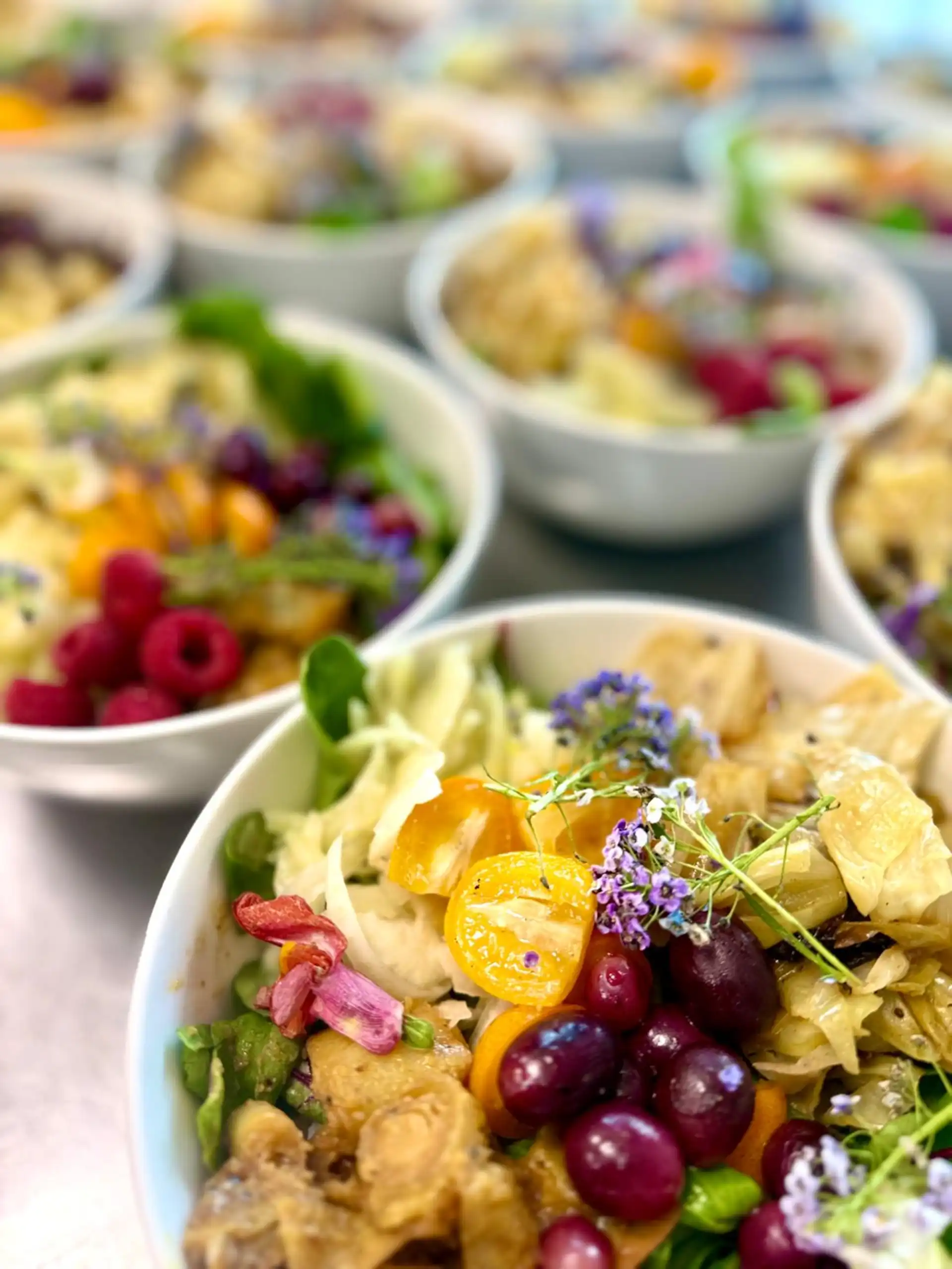 Frische vegetarische Schalen für den Business Lunch