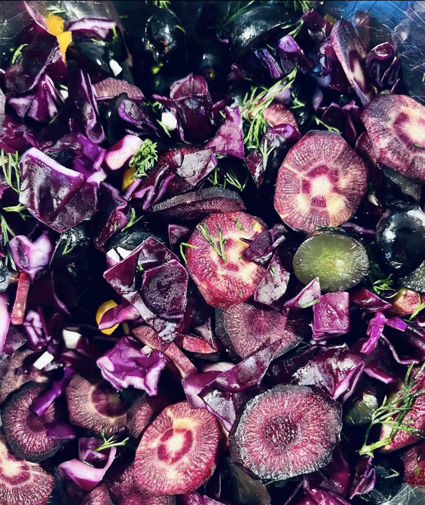 Purple Rohkost Salat Ballaststoffreiche Ernährung Guter Stof Dortmund