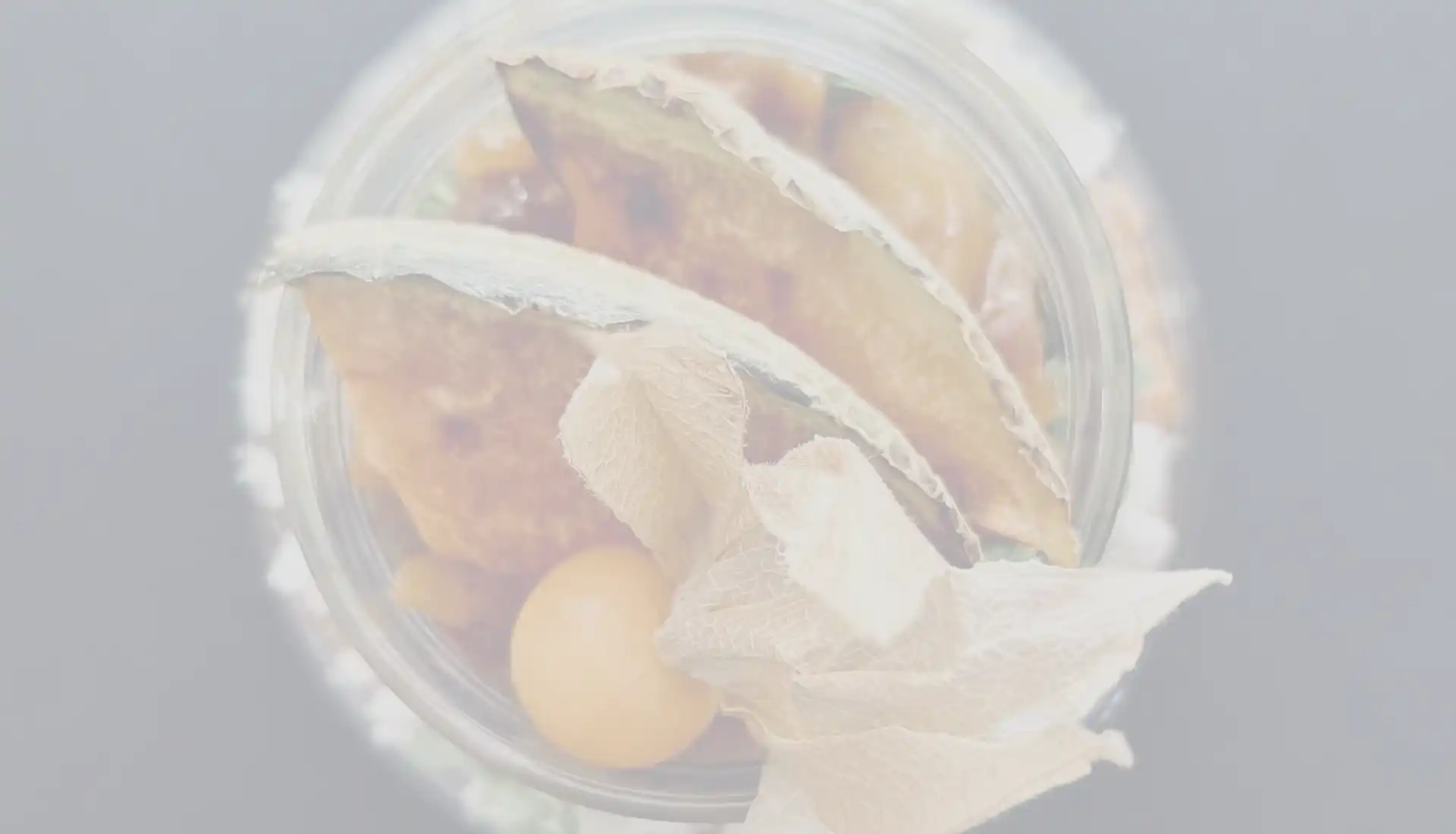 Physalis – Mindful Dinner von Guter Stoff und Andrea Hanning